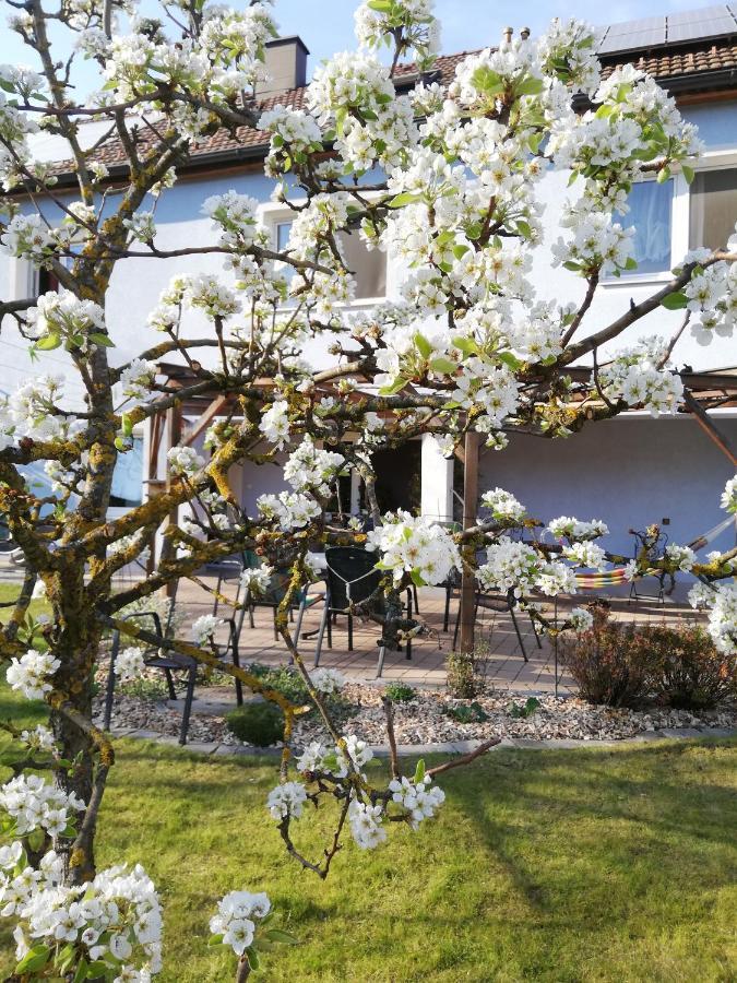 Privatzimmer Langthaler 멜크 외부 사진
